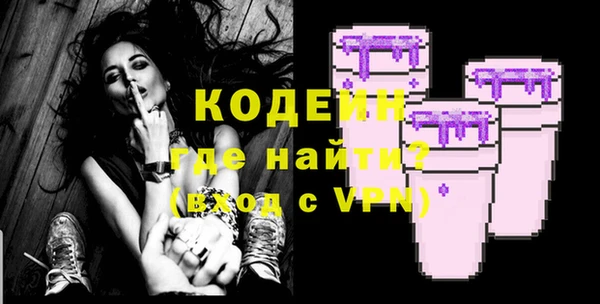 apvp Бородино