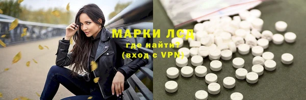 apvp Бородино