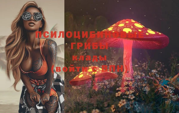 spice Бугульма