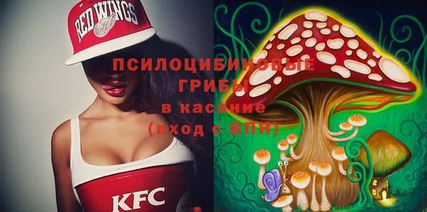 spice Бугульма
