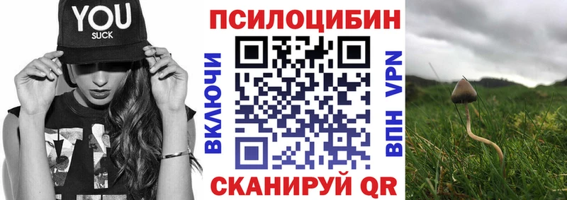 наркошоп гидра ONION Галлюциногенные грибы GOLDEN TEACHER Новохопёрск